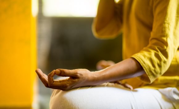 Sivananda Yoga Sadhana Intensive – October 2019, January 2020